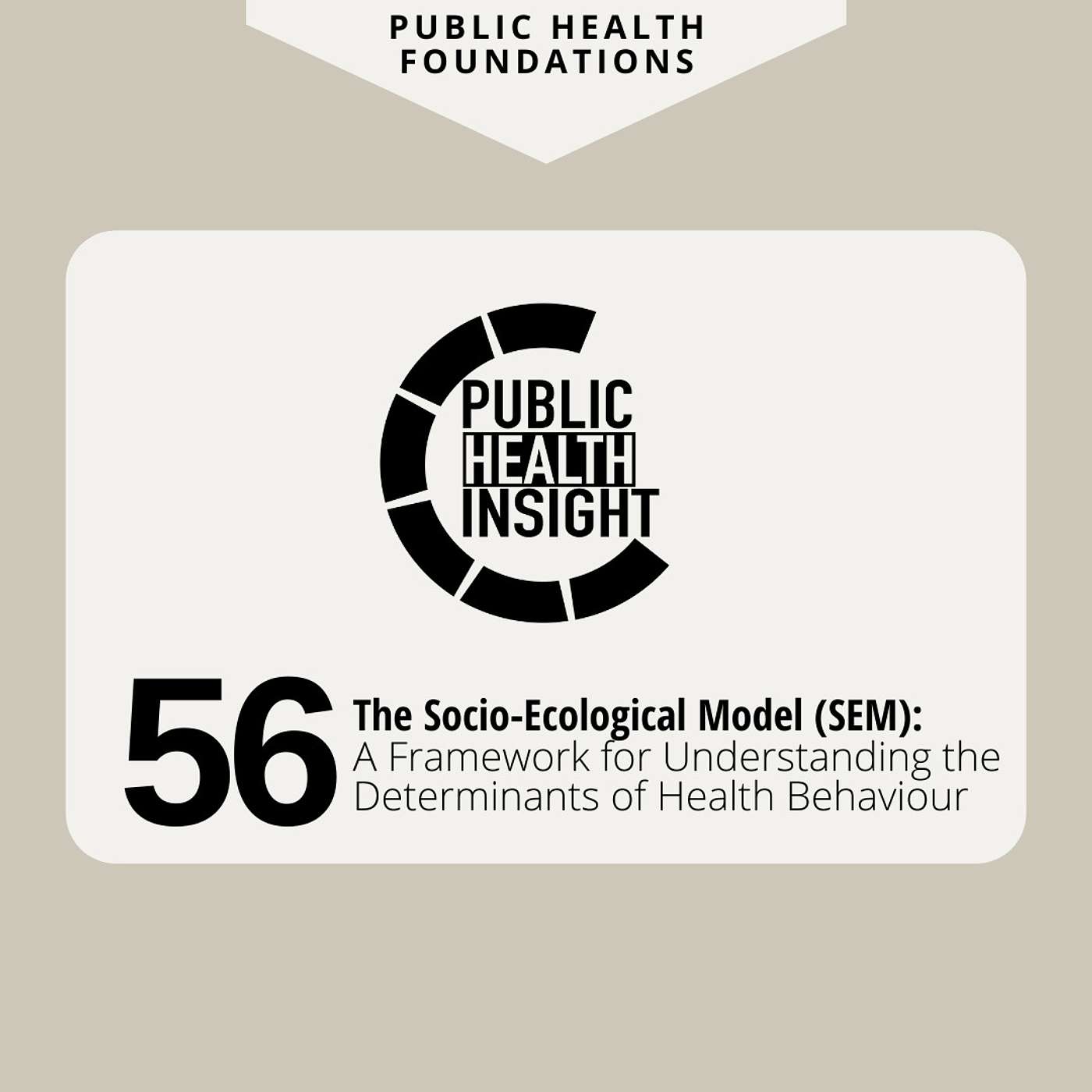 Public Health Insight