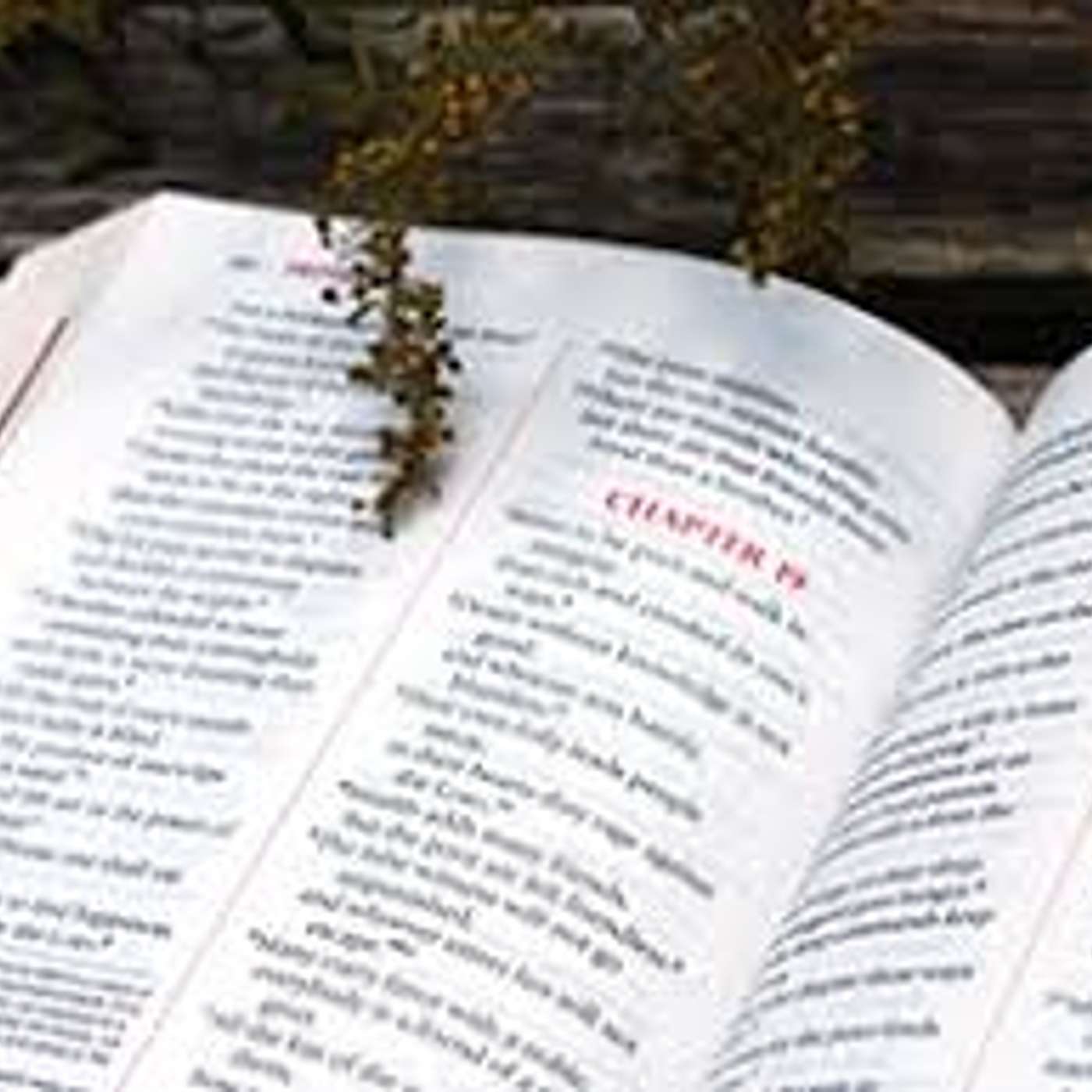 Sunday the Word of God with Dr Jessie Rogers (Programme Excerpt) (S10E9b)