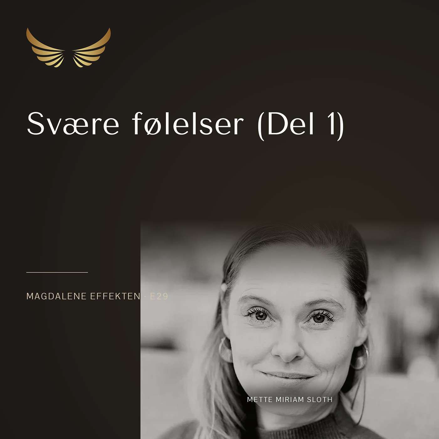 E29: Sådan arbejder du med svære følelser (1 af 2) episode artwork