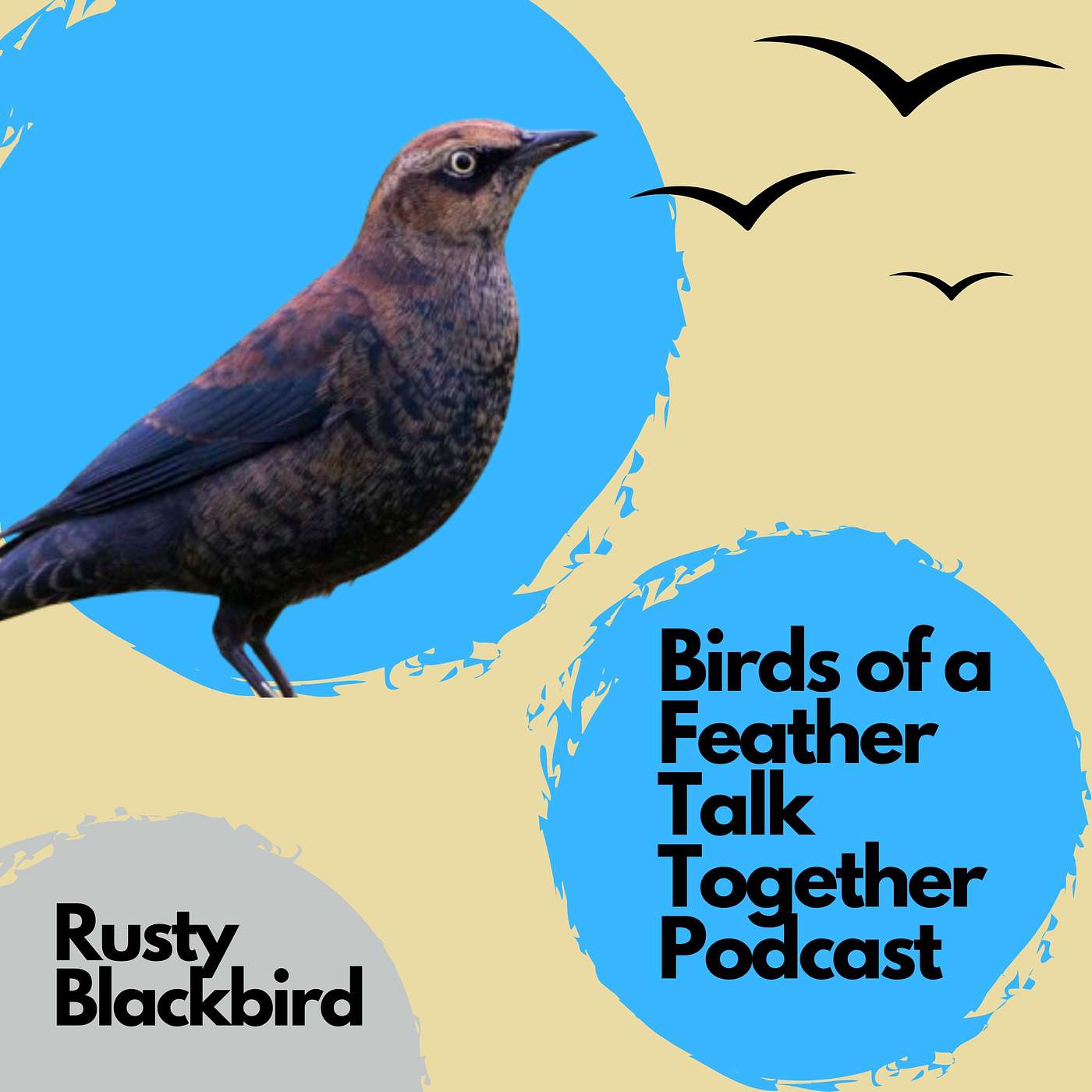 Birds of a Feather Talk Together