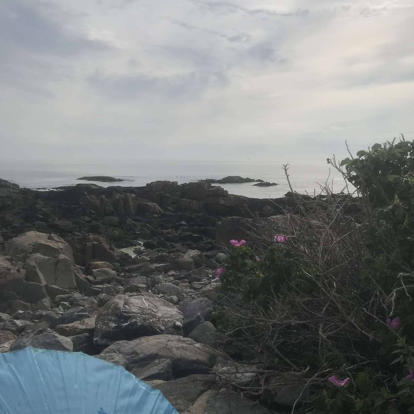 18th Stop, Little Beach June 9, 2021 8:00 am
