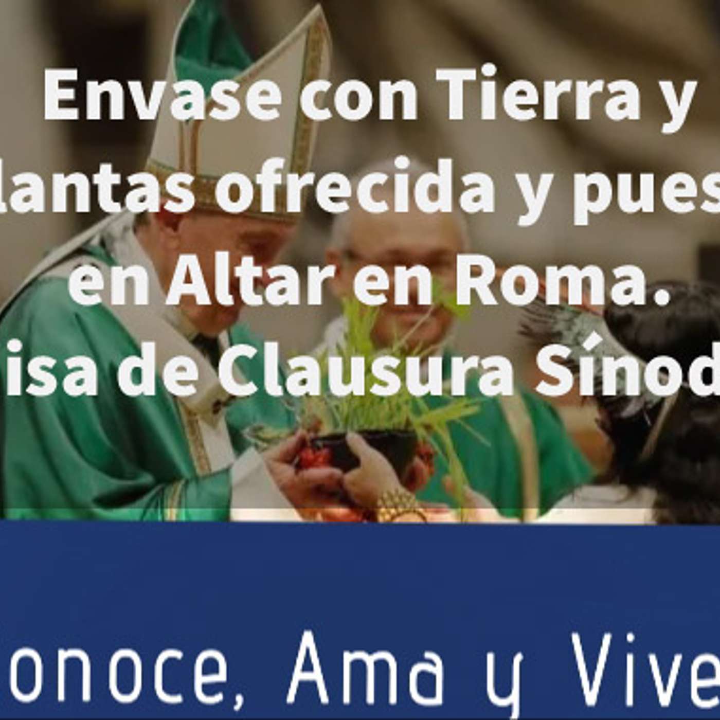 Episodio 110: 🌱  Envase con plantas y tierra ofrecidas y puestas en el Altar . Misa Clausura Sínodo ✝️ episode artwork