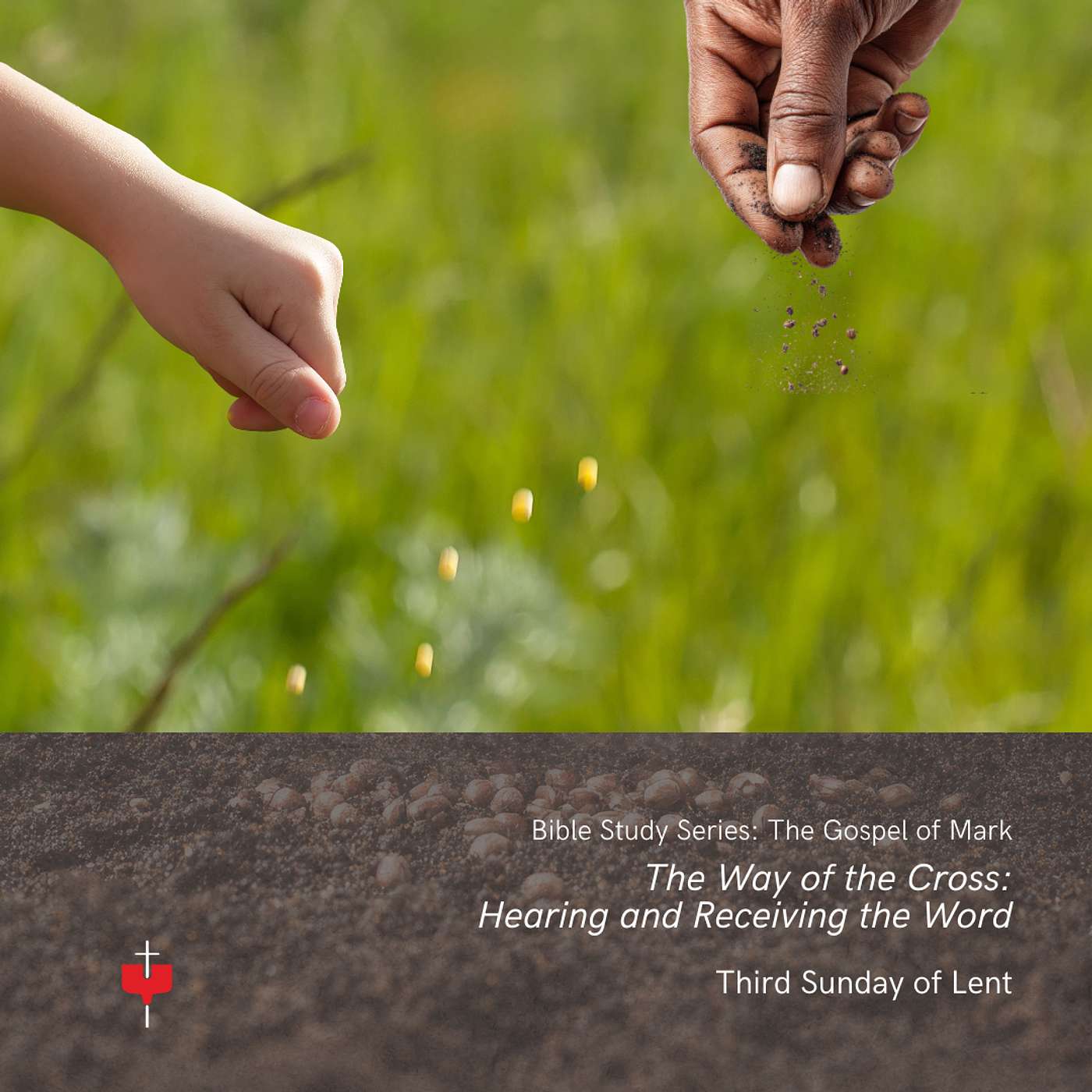 The Way of the Cross: Hearing and Receiving the Word episode artwork