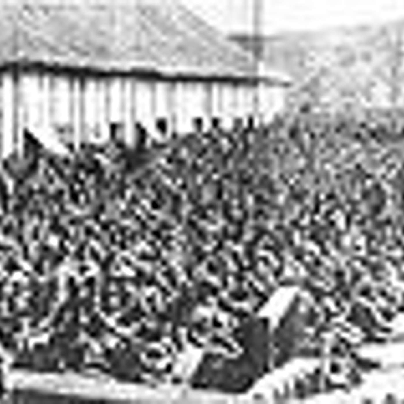 World War COVID Guerre mondiale: From WeaponWorld to PeaceWorld; Learner, begin...        De la terre en armes au monde paisible ; Apprenti, débute