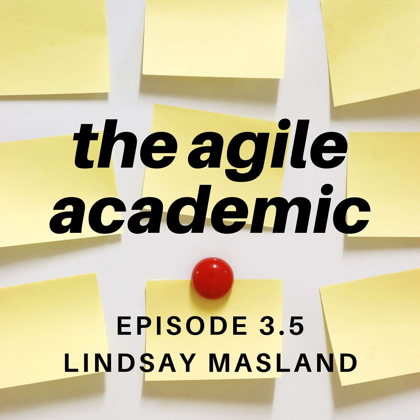 the agile academic