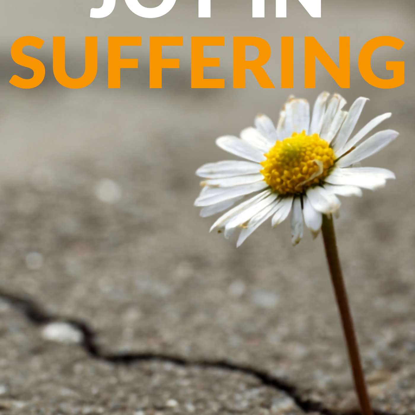 Joy In Suffering | Pastor Joel Schulz episode artwork