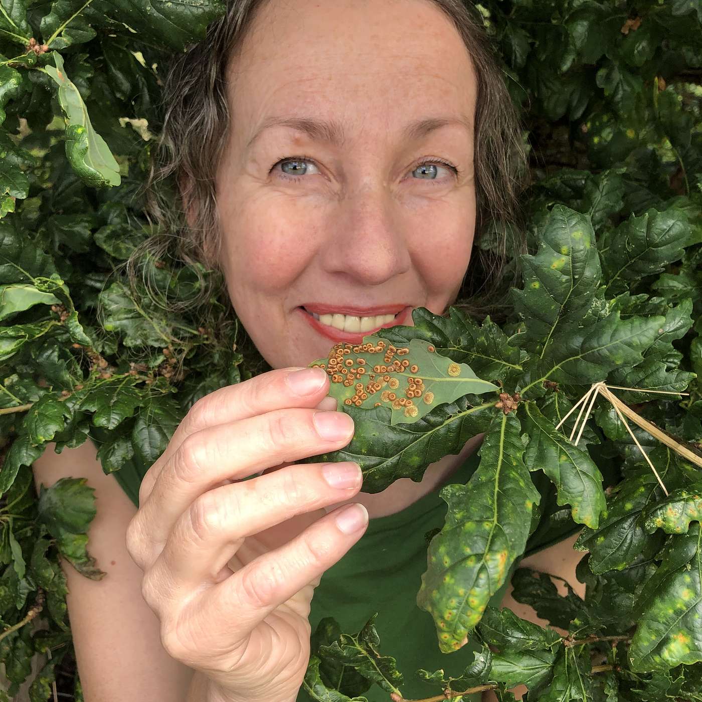 Tree Lady Talks