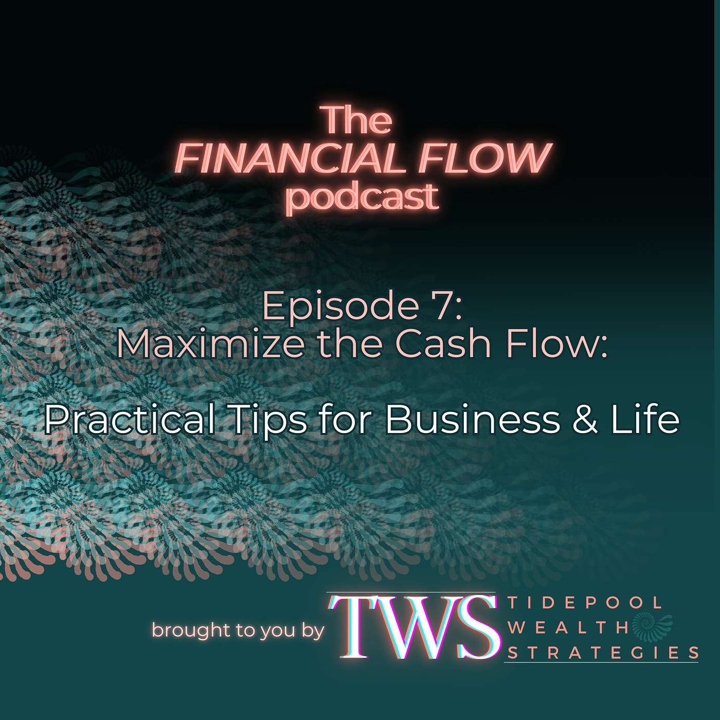 Maximize the Cash Flow: Practical Tips For Business and Life episode artwork