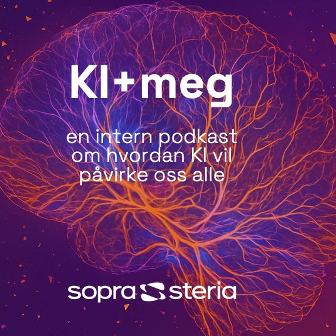 KI+meg