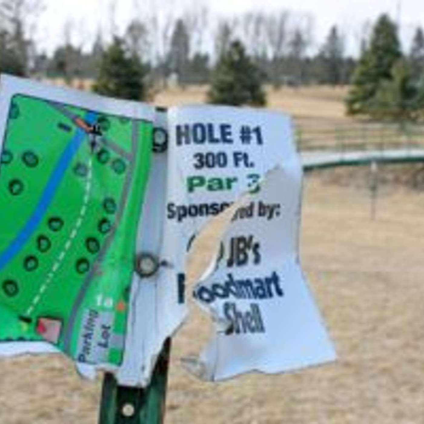 Updates considered for disc golf course episode artwork