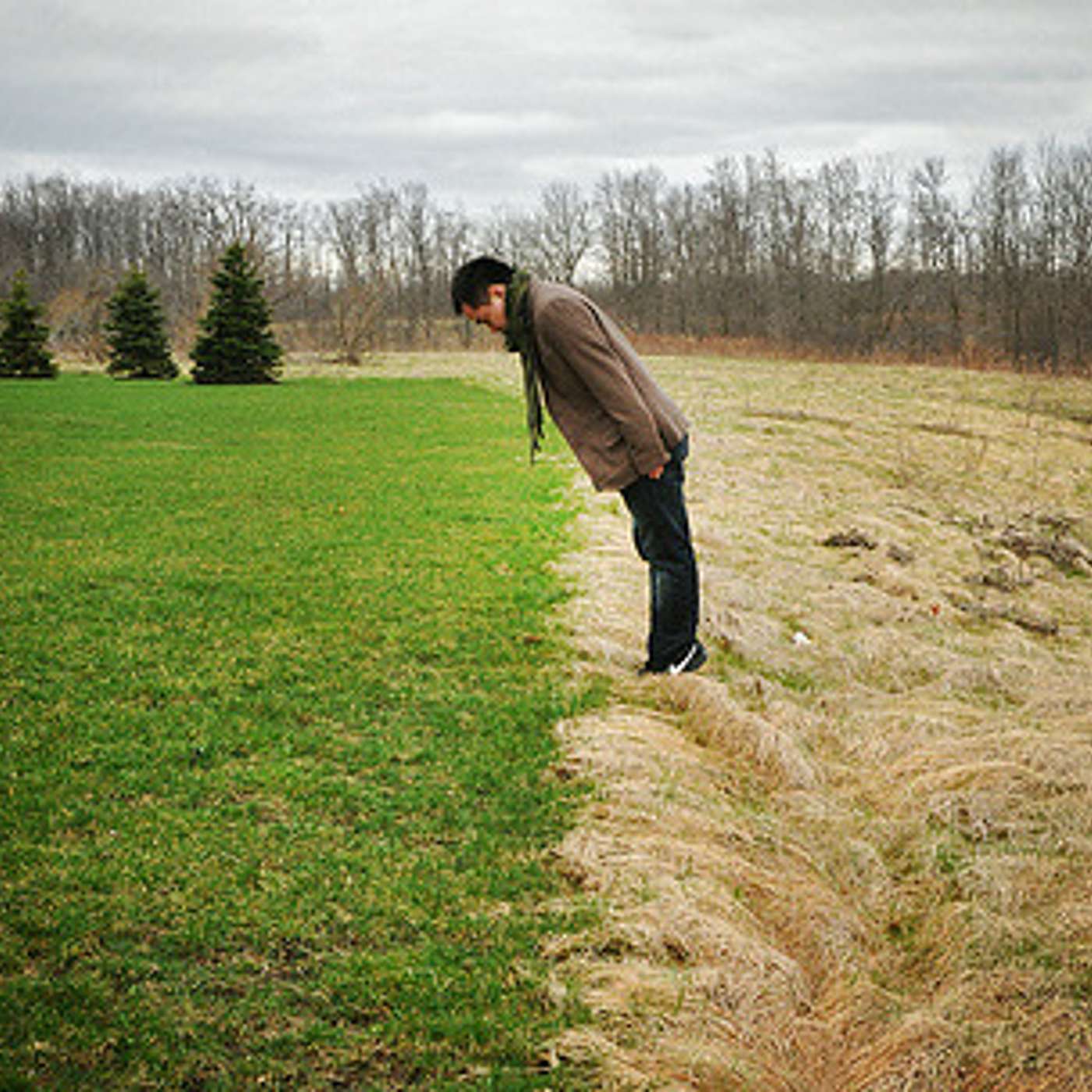 When the Grass IS NOT Greener on the other side of Business Startup