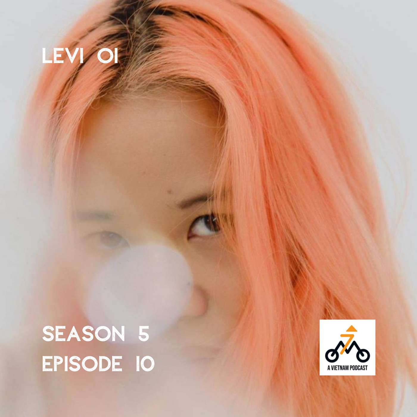 Vietnam Podcast: Culture, Community & Conversations
