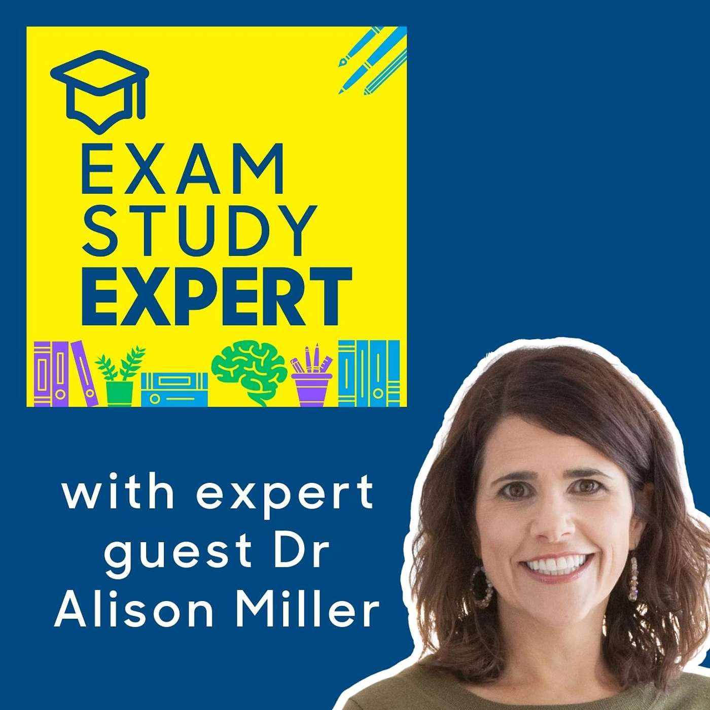 191. Stop Procrastinating And Finish Your Dissertation/Essay - with Dr Alison Miller