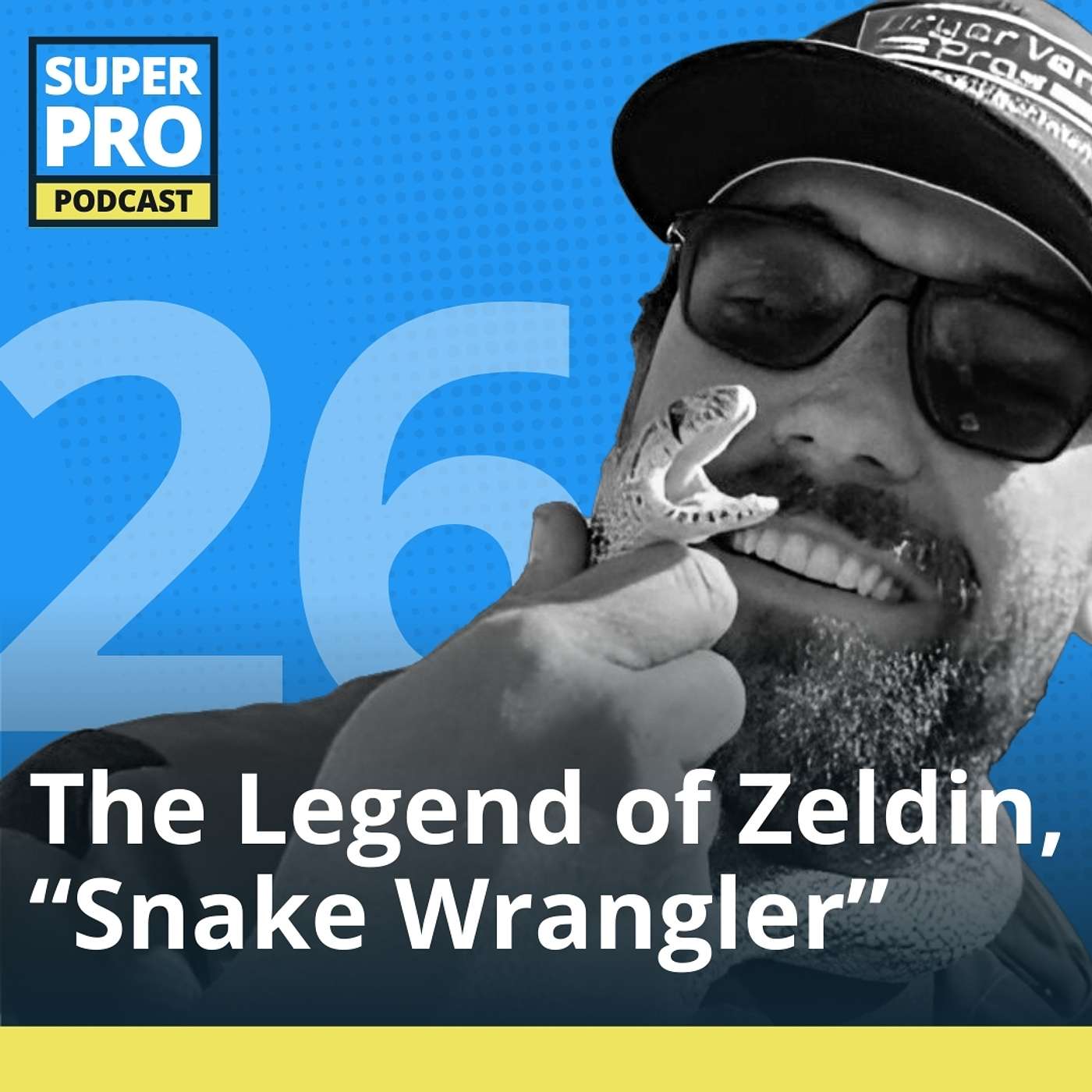 The Legend of Zeldin, "Snake Wrangler"