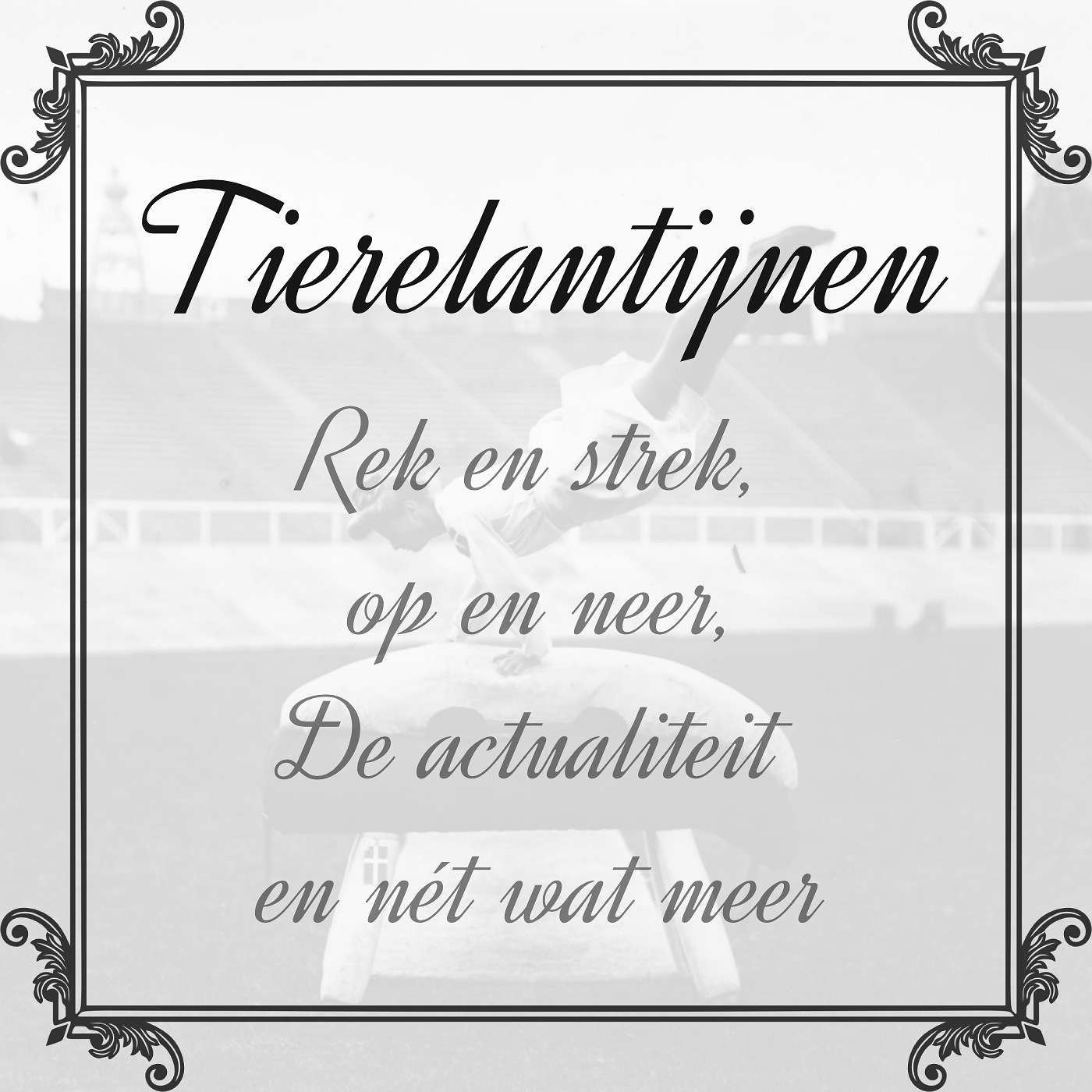 Tierelantijnen