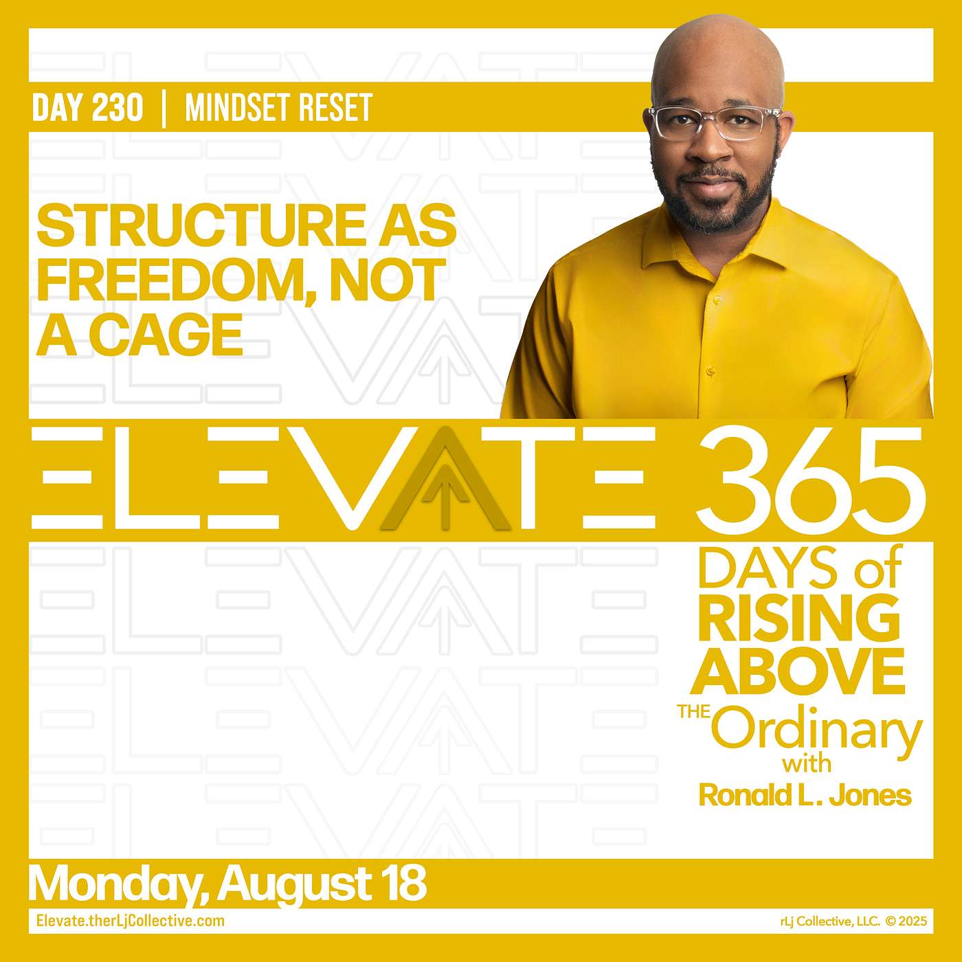 Day 230: Structure as Freedom, Not a Cage