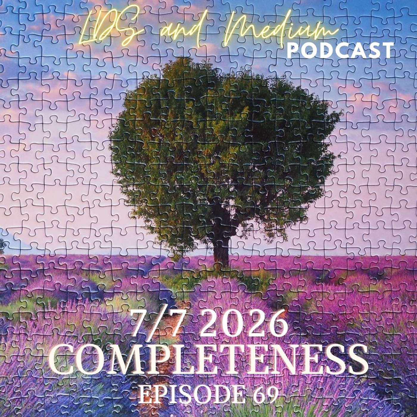 EPISODE 69: July 7th 2026: Completeness episode artwork