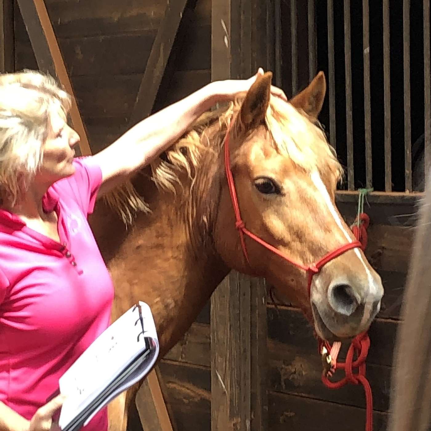 Holistic Horseworks Talks with April Love
