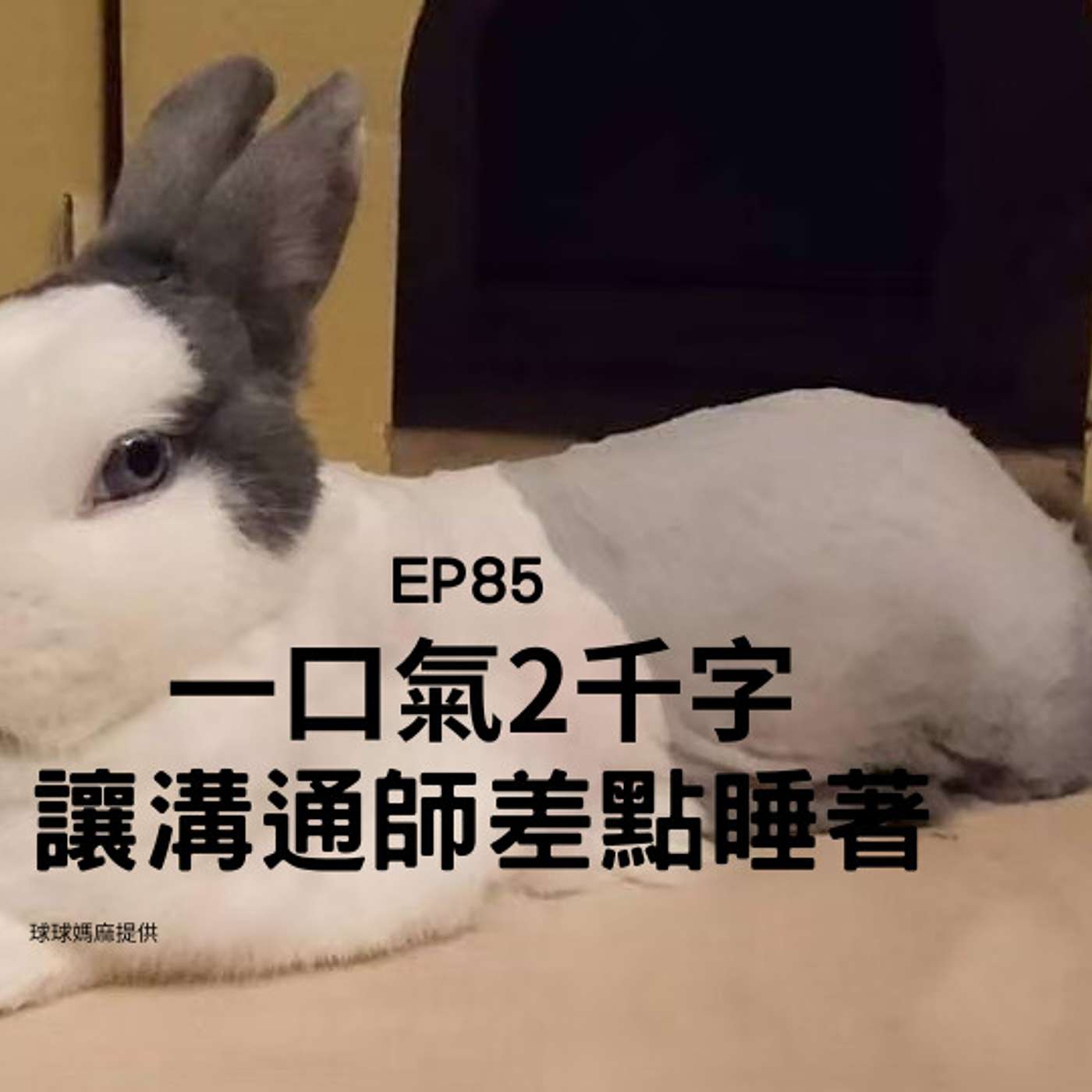 【Podcast】從0到1媒體人X斜槓 EP85 一口氣吐出兩千字  話多到讓離世溝通師差點睡著的兔兔呀... episode artwork