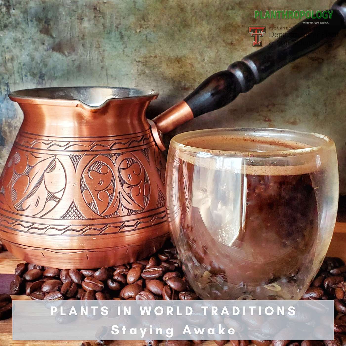 38. Plants in World Traditions- Staying Awake