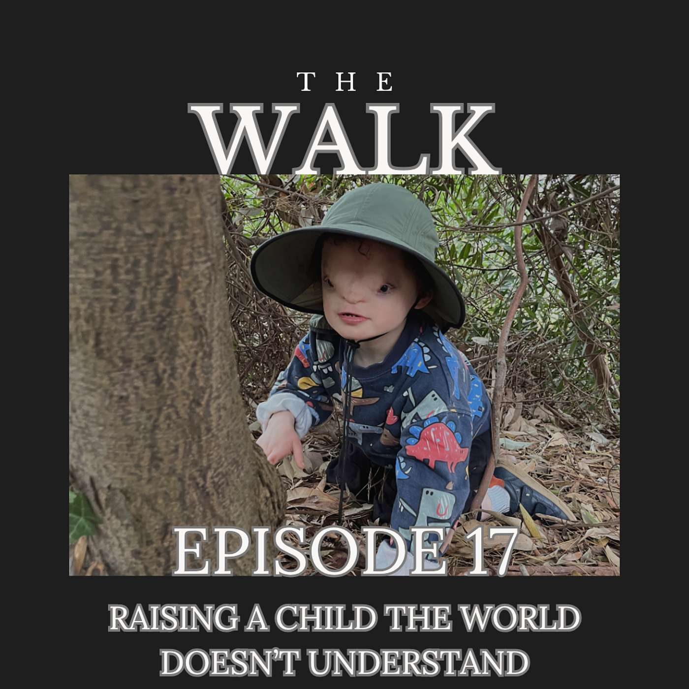 Ep. 17 - Raising a Child the World Doesn't Understand episode artwork