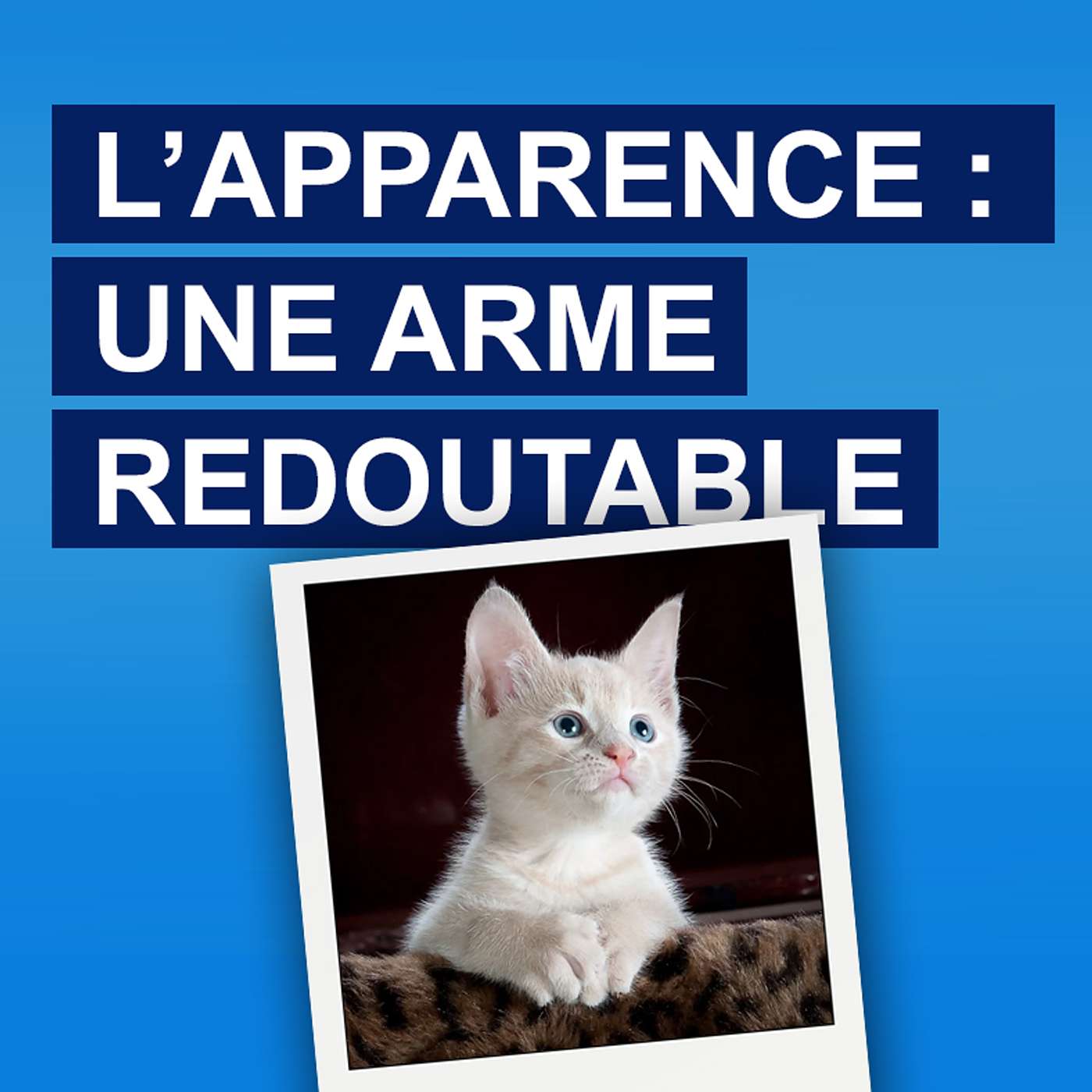 Drôles d\'affaires