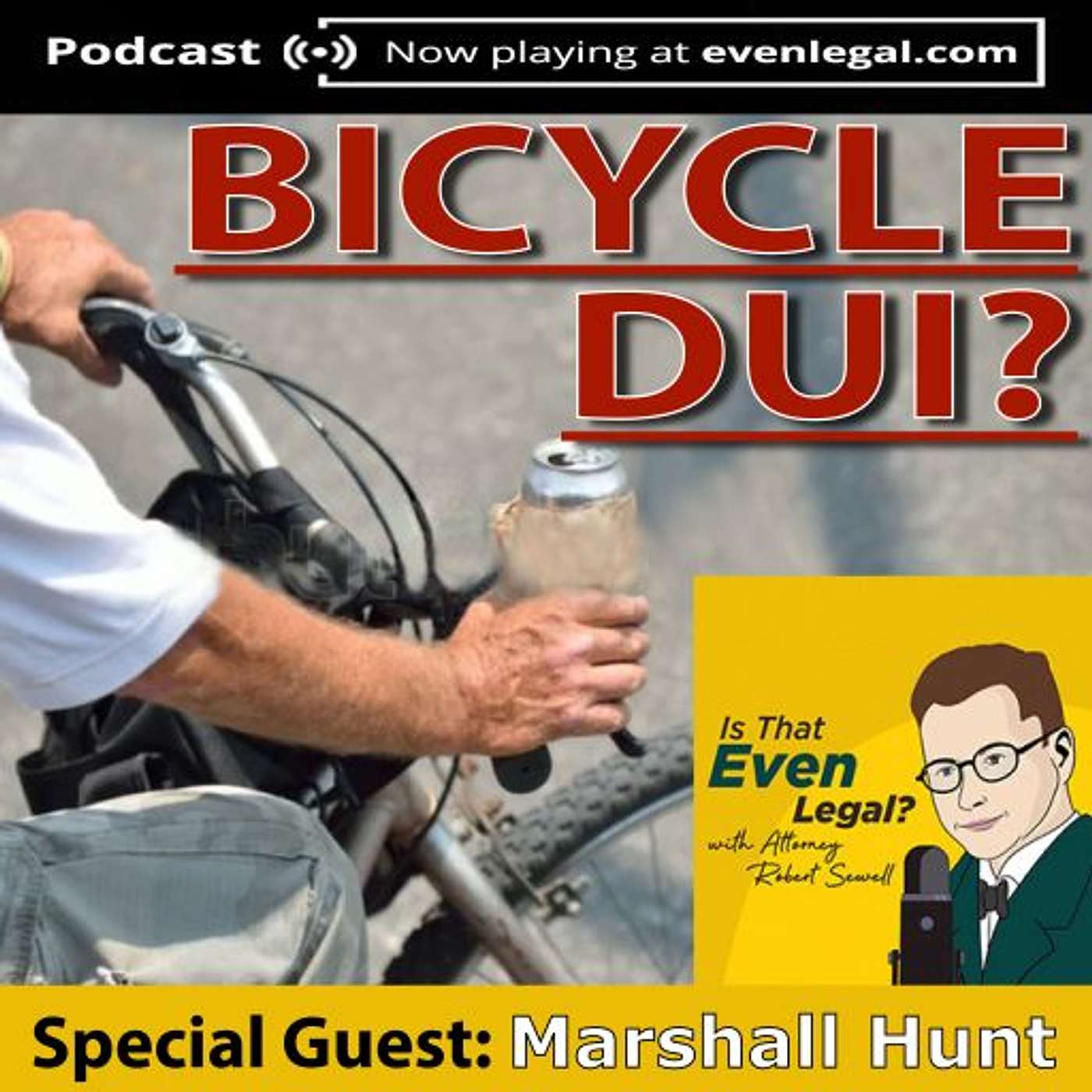 Can You Get a DUI on Your Bike? Your Scooter? Your...Horse?