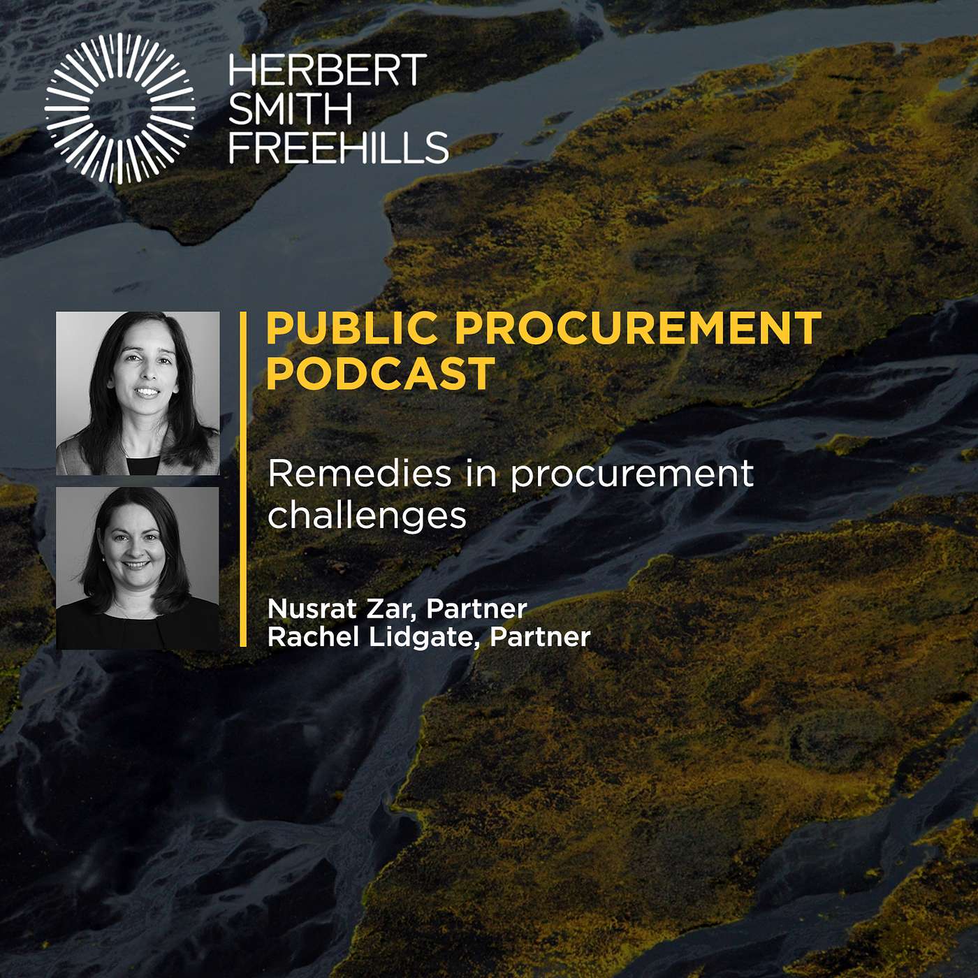 Public Procurement Podcast: Remedies in procurement challenges episode artwork