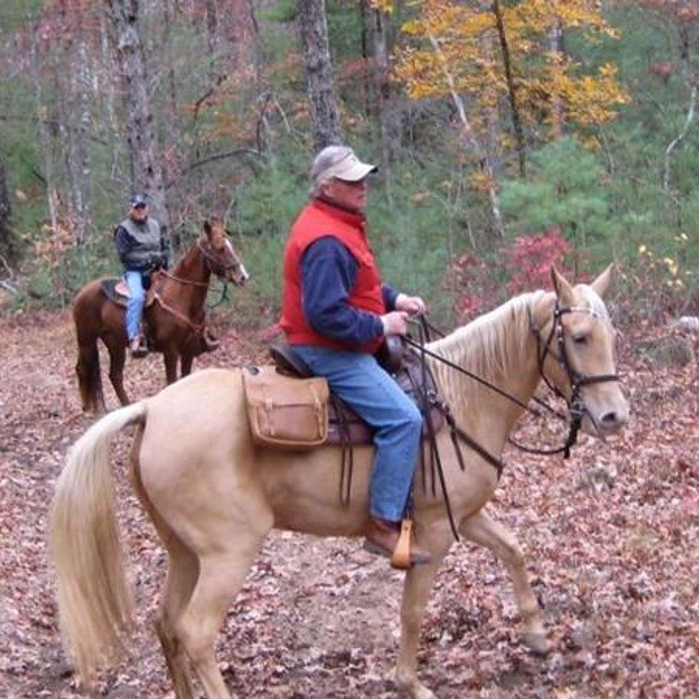 CHIROPRACTIC for HORSE & RIDER and the BIG SOUTH FORK on SADDLE UP AMERICA!