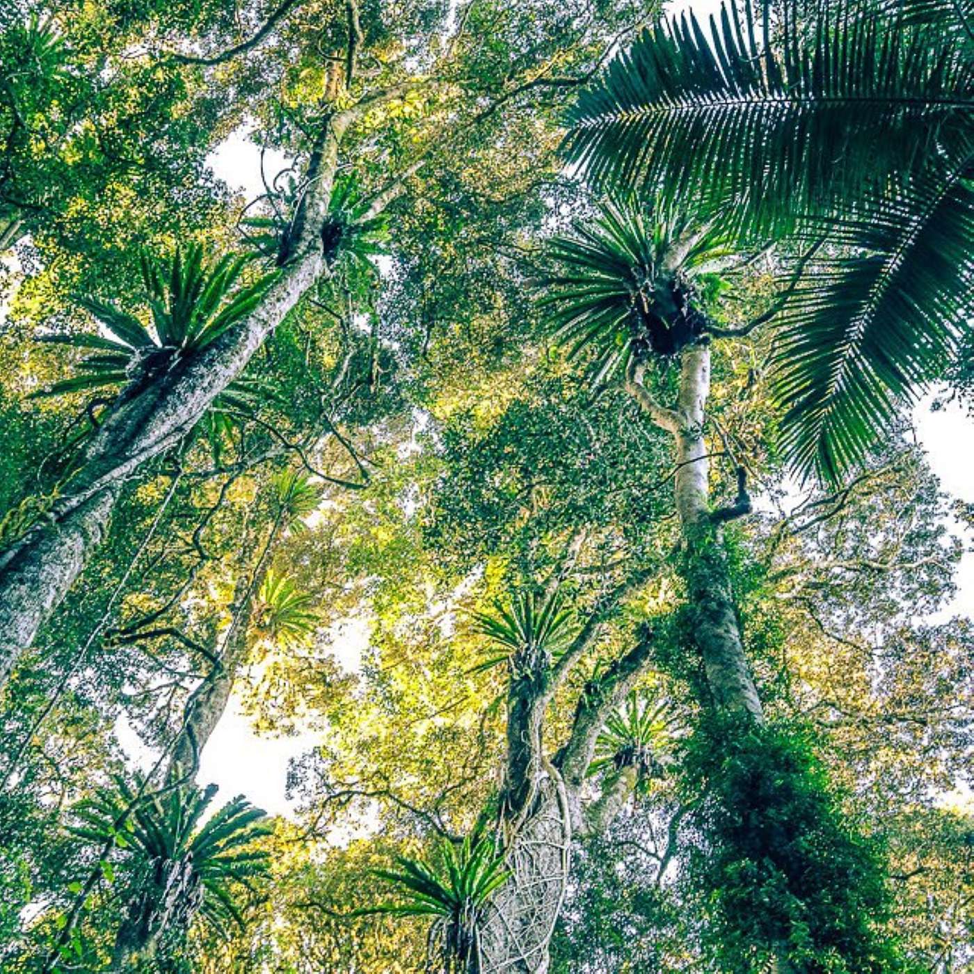 Review Session 2: Jo-Anne's Second Happiest Moment of My Soul Session. S12. Ep7.