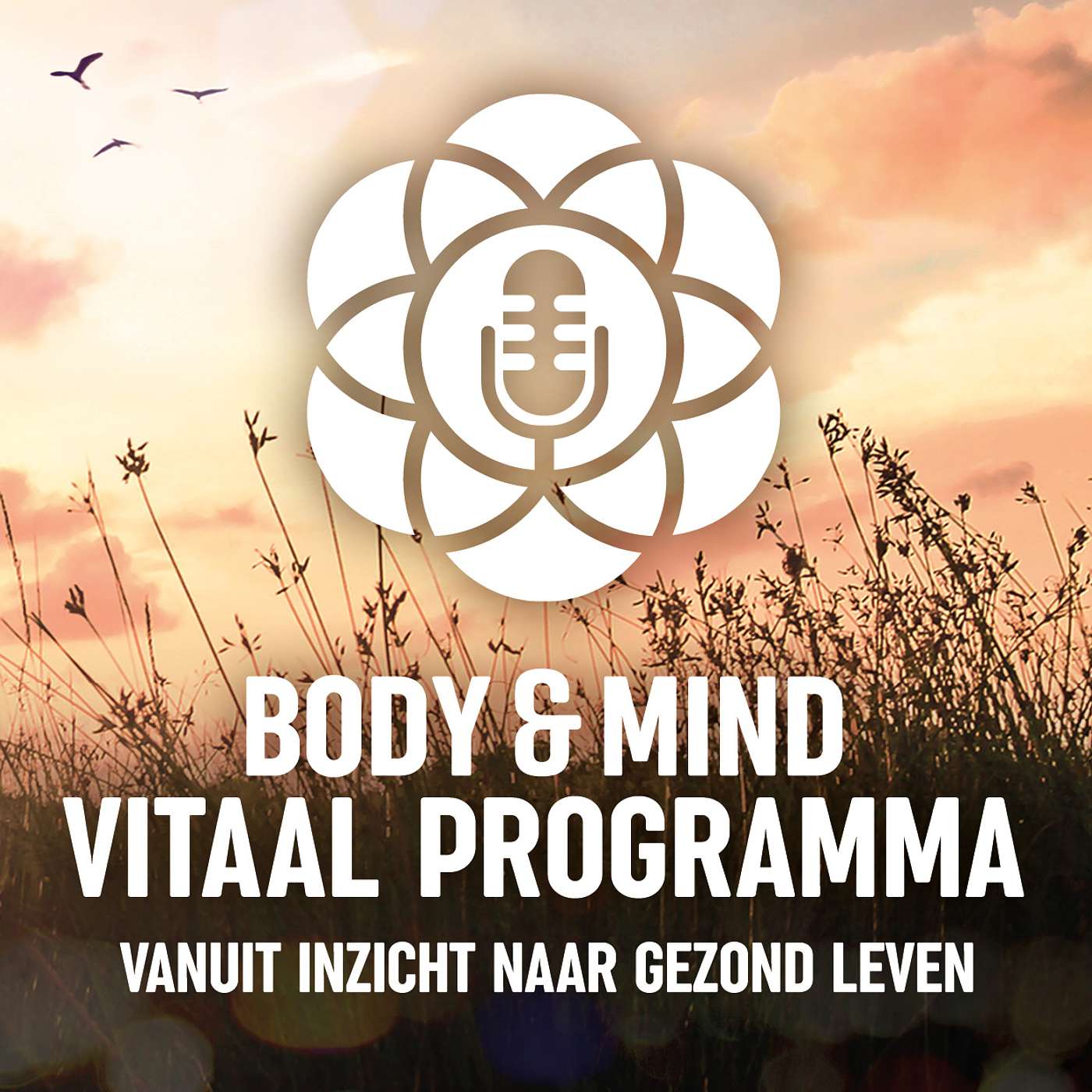 Body & Mind Vitaal programma