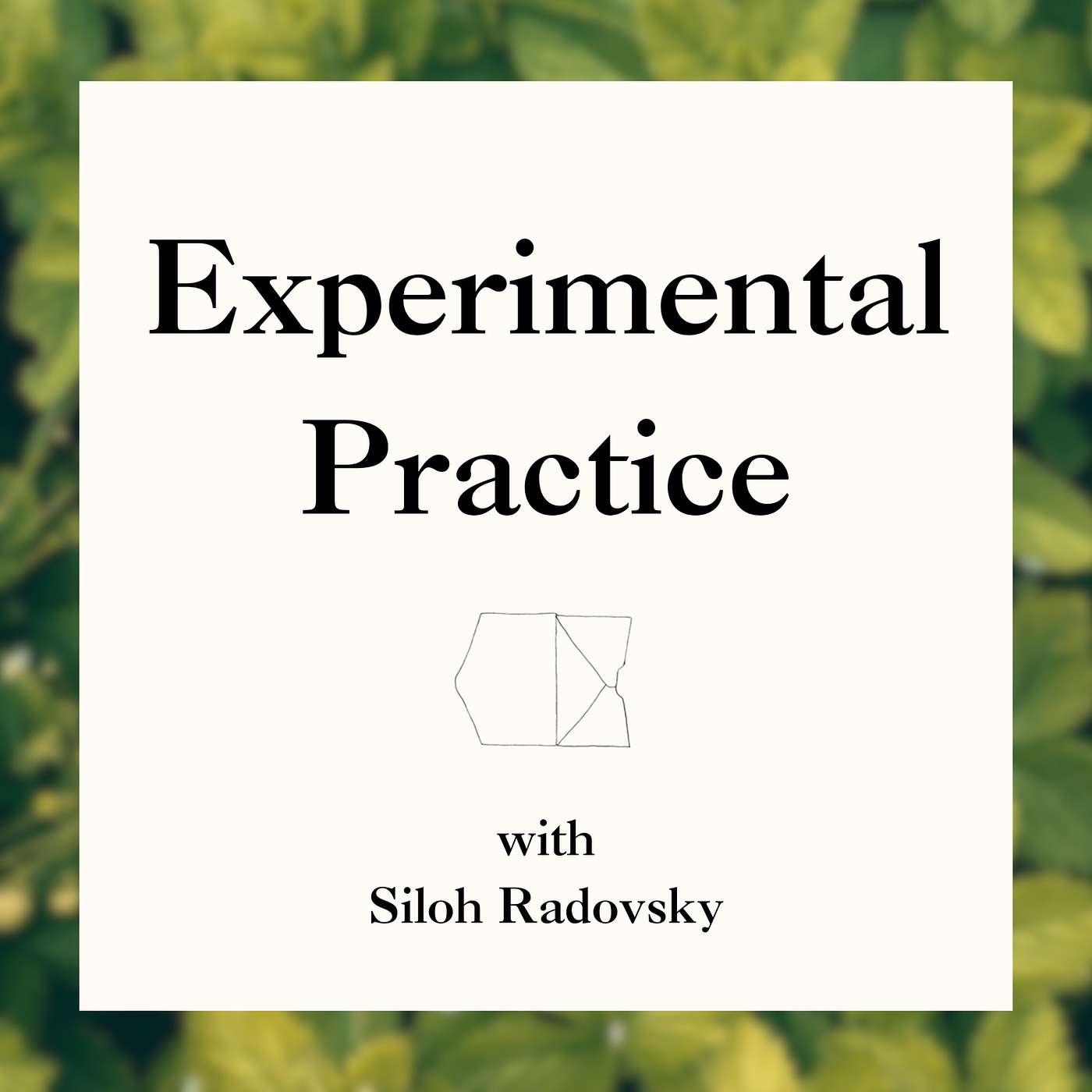 Experimental Practice