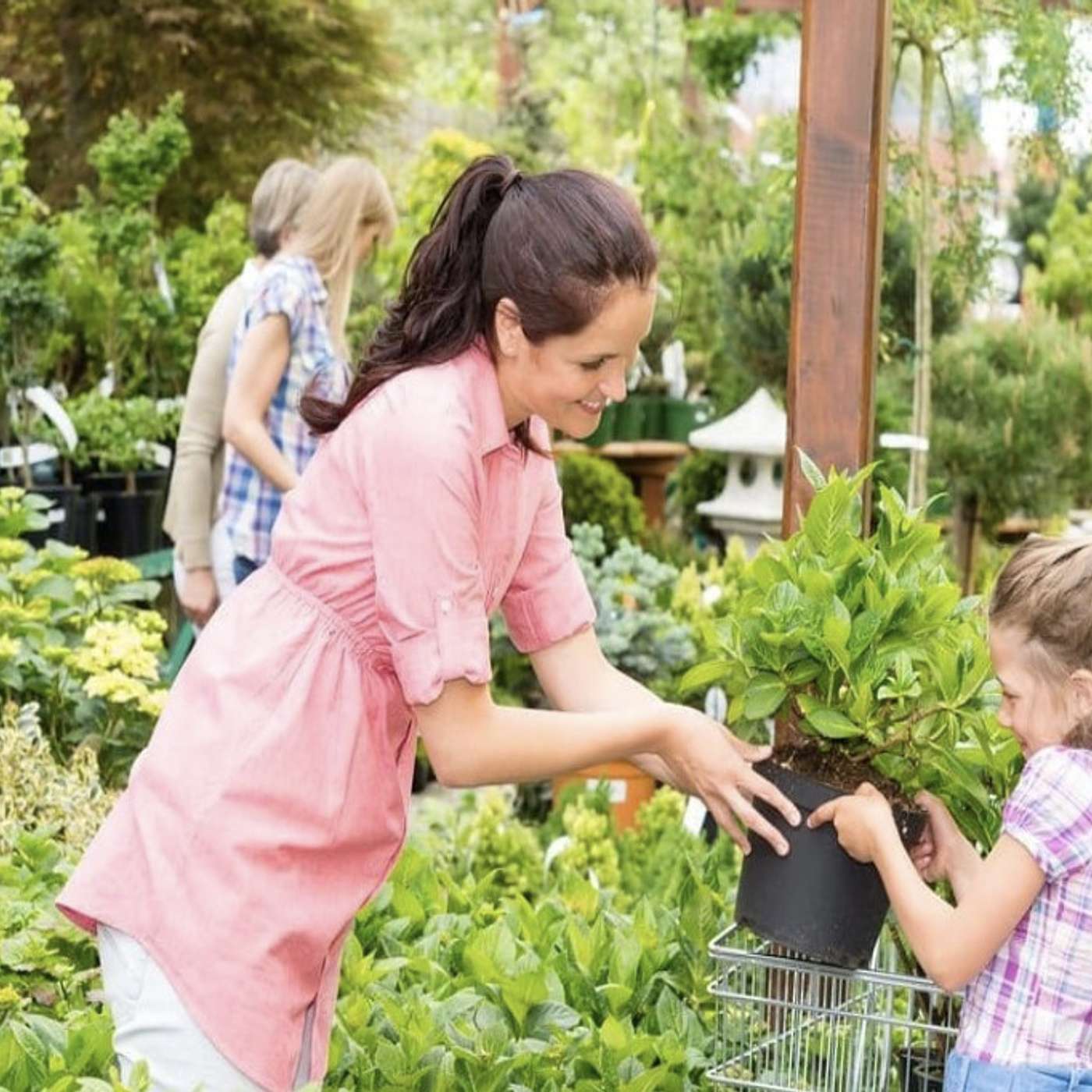 Saving on Plants During Garden Center Seasonal Changes