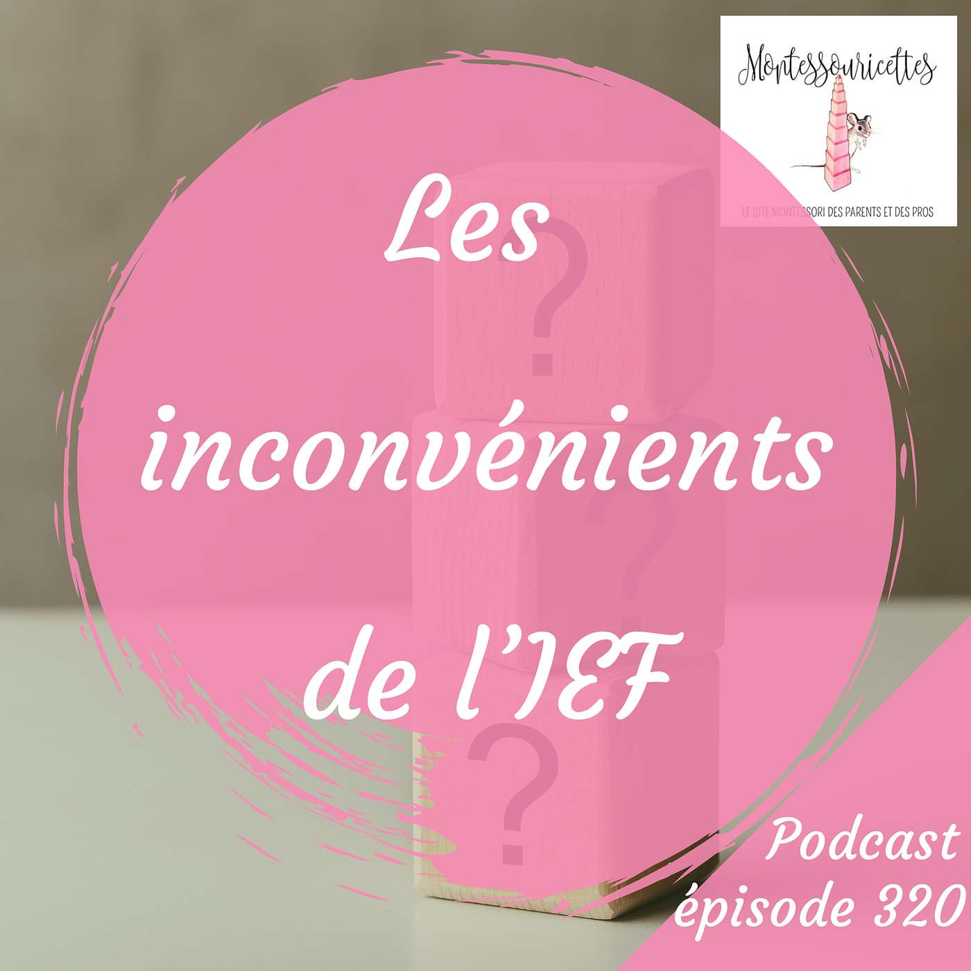 320. Les inconvénients de l'IEF (Redif) 320. Les inconvénients de l'IEF (Redif)