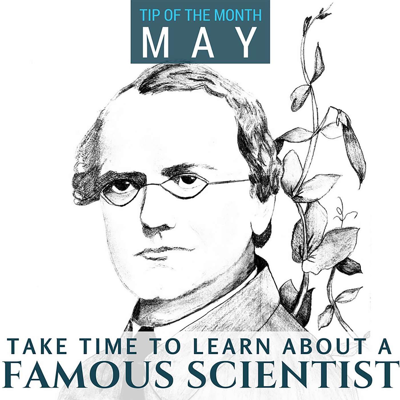 Tips for Homeschool Science Podcast from Elemental Science