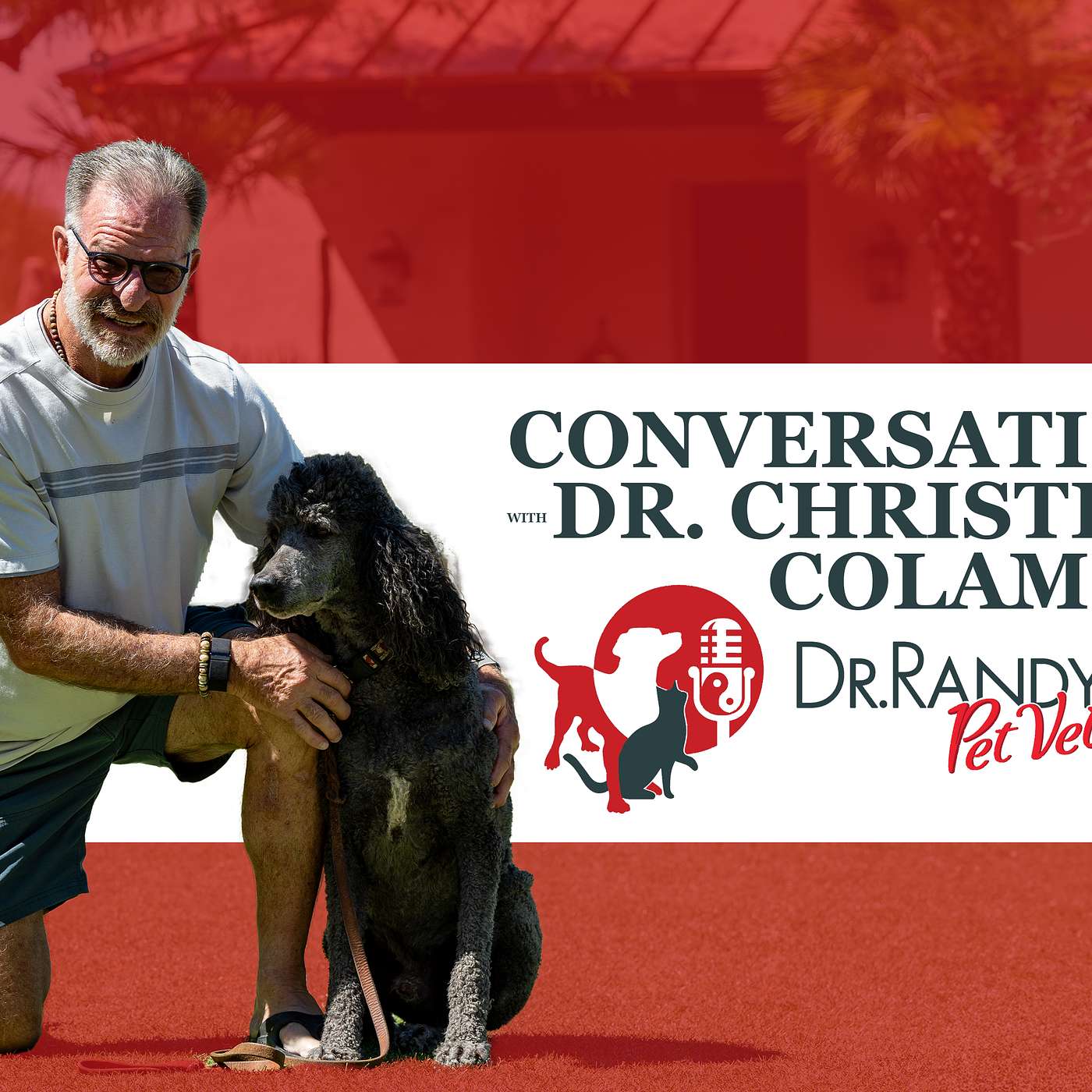 Paws, Reflect & Heal with Dr. Randy