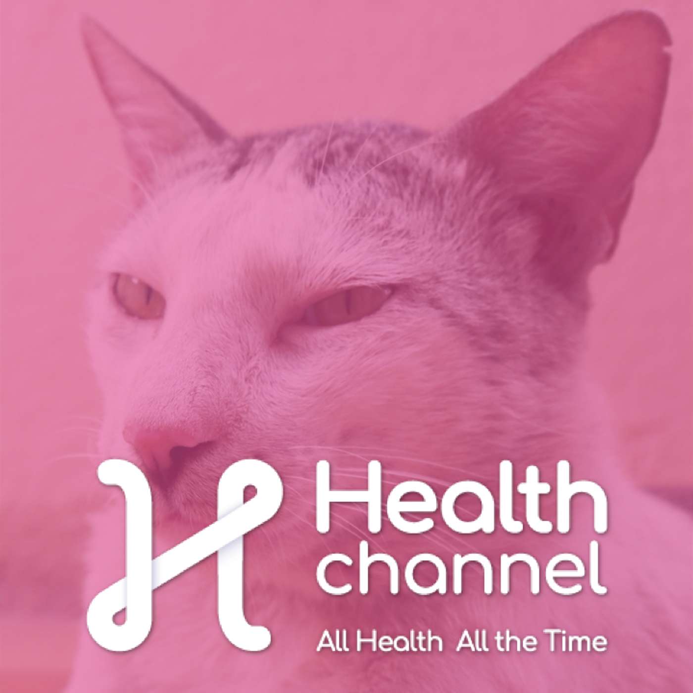 Skin Issues in Pets | Ask The Doc