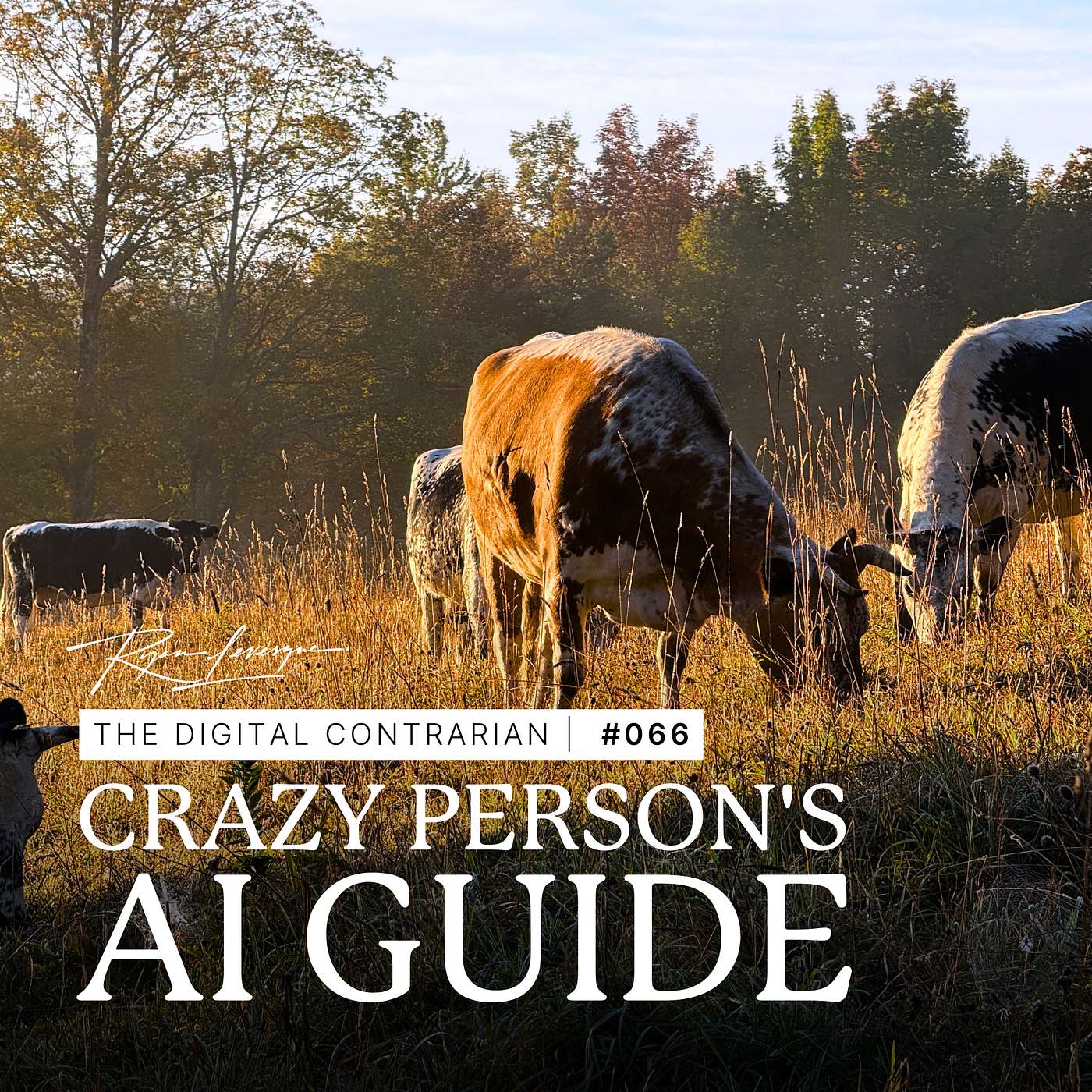 TDC 066: A Crazy Person's Guide to Living Life in an AI World TDC 066: A Crazy Person's Guide to Living Life in an AI World
