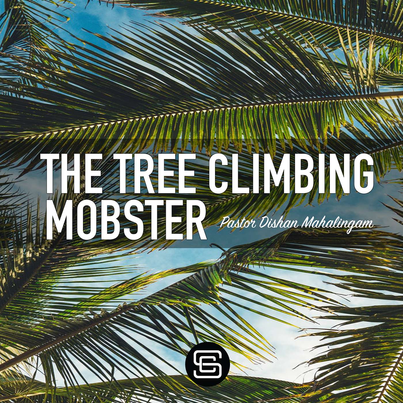 The Tree Climbing Mobster