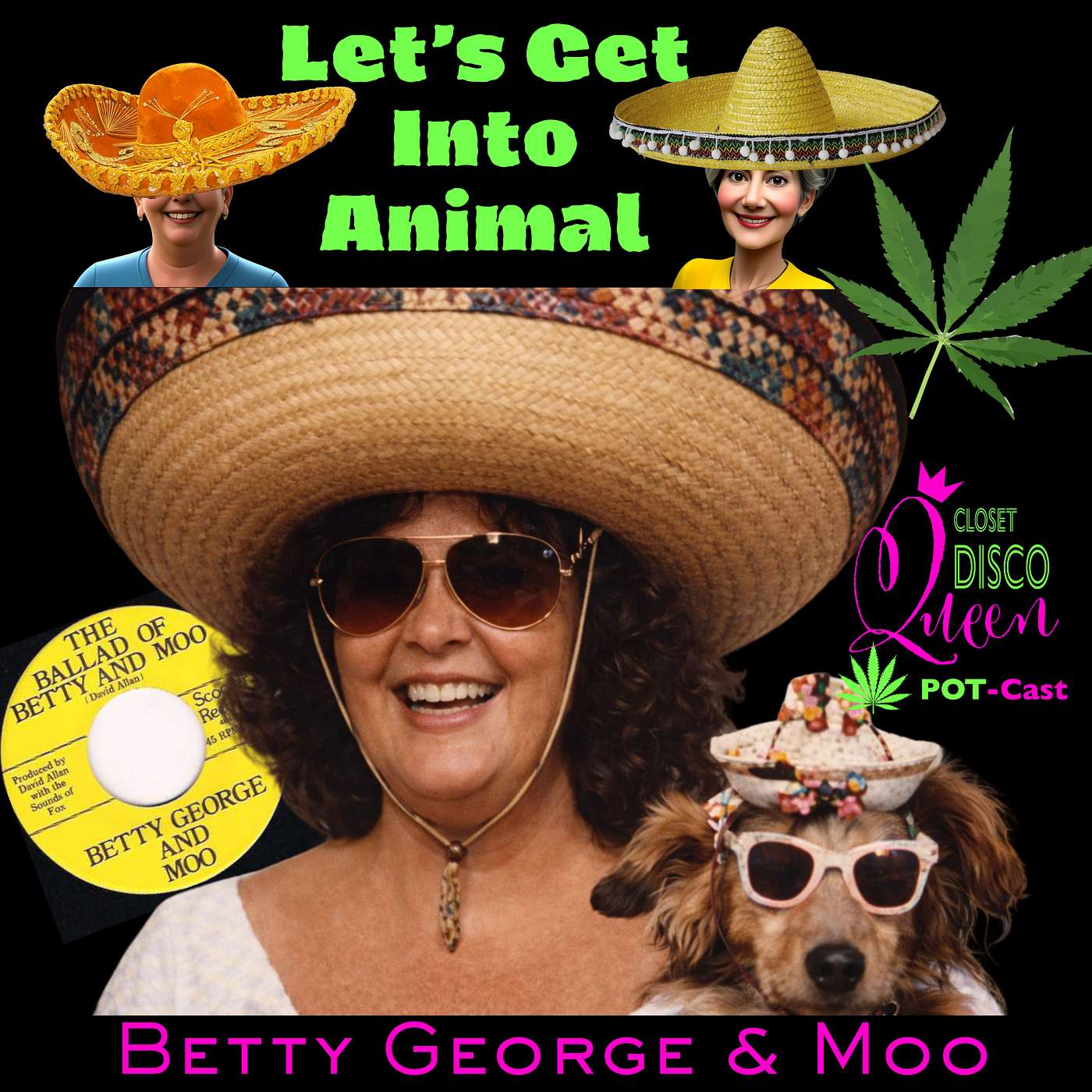 Midlife Cannabis, Confidence & Real Talk for Women | Let's Get Into Animal, featuring Tanya Griffin episode artwork
