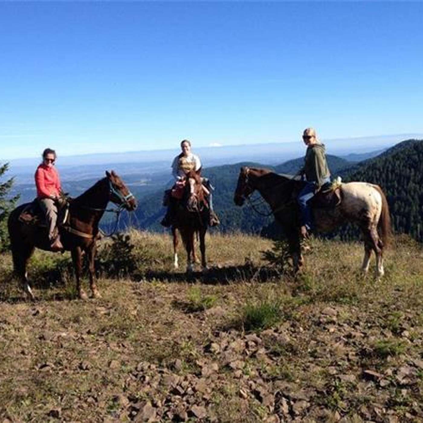 Equestrian Legacy Radio