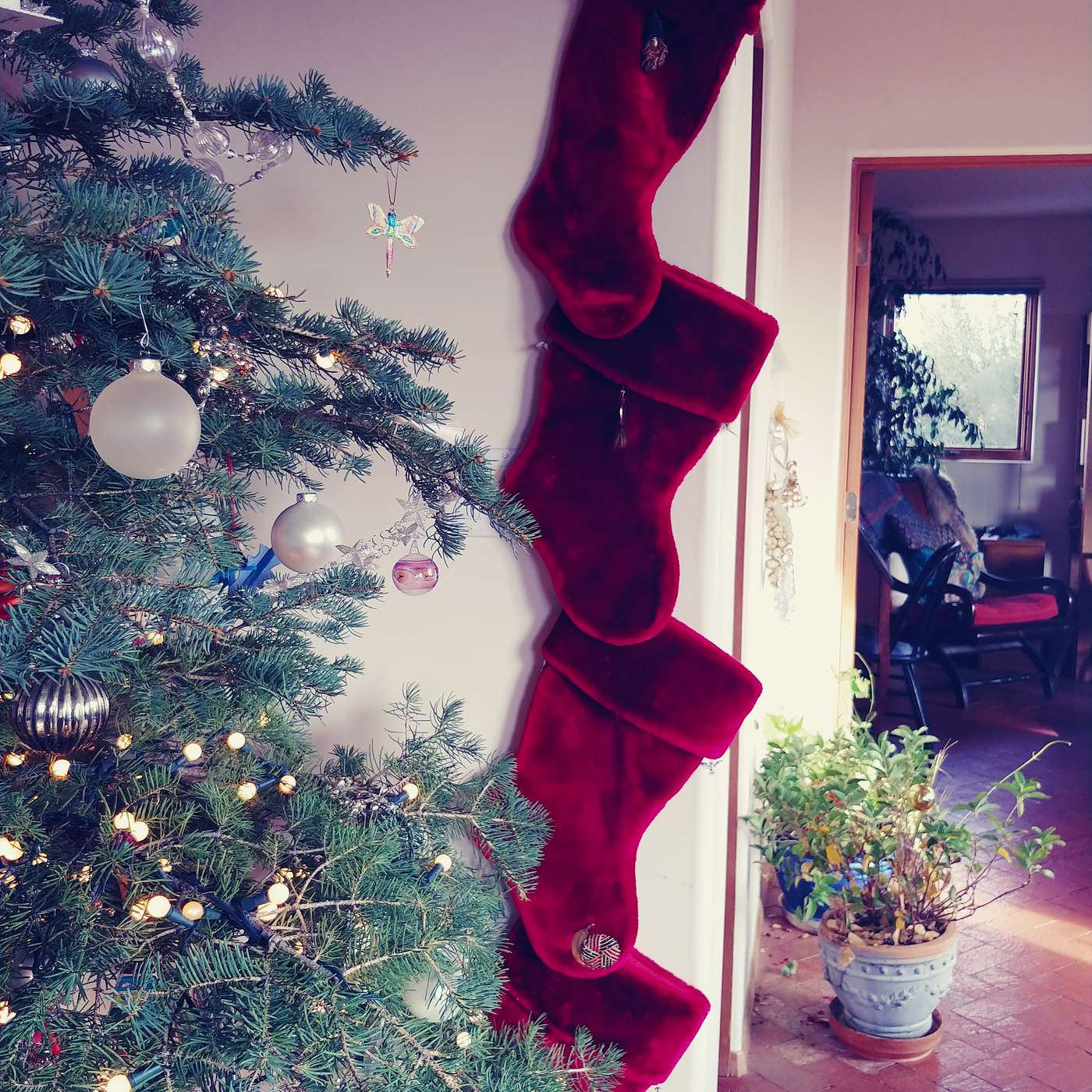 First Cup of Coffee - December 6, 2018