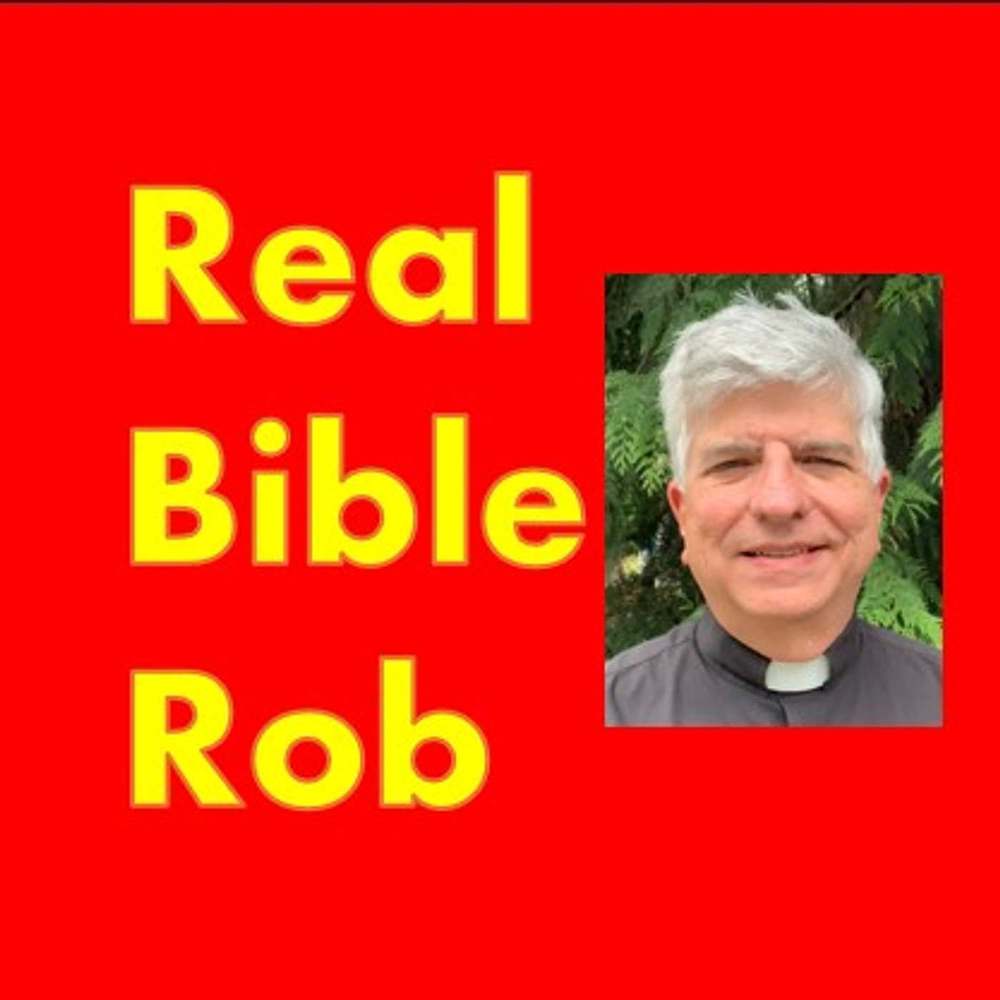 Real Bible Rob: Affirming Christianity Podcast Real Bible Rob - Inclusive Christianity Discussions Real Bible Rob | PCUSA Ministry Insights
