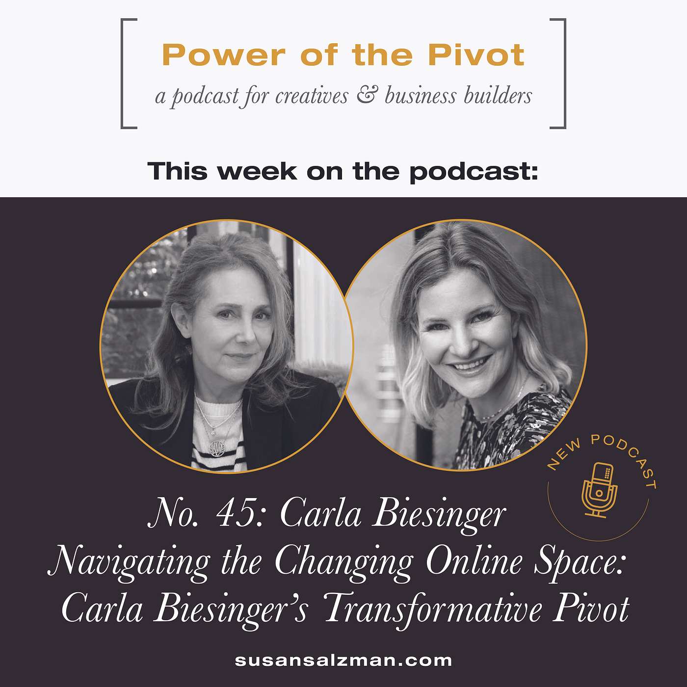 045: Navigating the Changing Online Space: Carla Besinger’s  Transformative Pivot