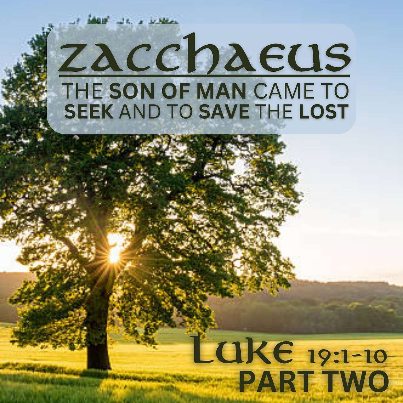 The Son of Man Came to Seek and to Save the Lost, Part 2; Luke 19:1-10