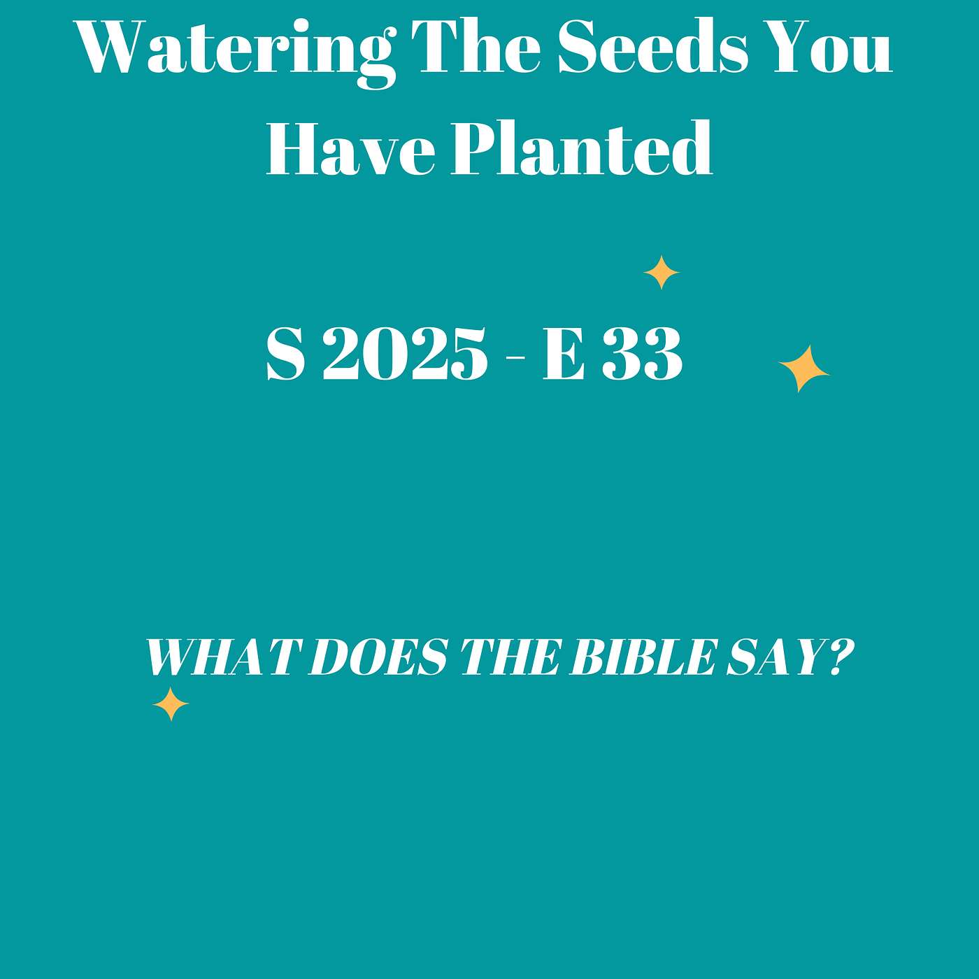 Nurturing Your Spiritual Garden: How to Water the Seeds You've Planted