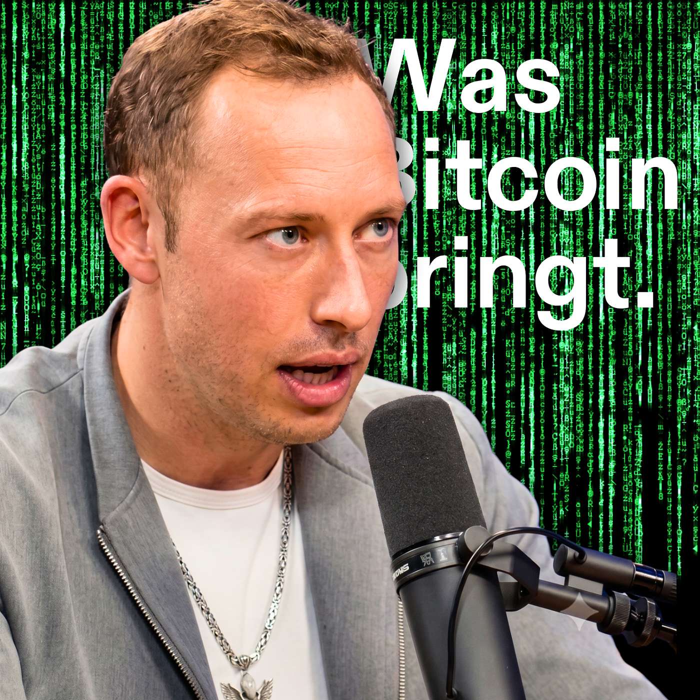 KI bringt digitalen Überfluss und Bitcoin muss explodieren | Johannes Decker episode artwork