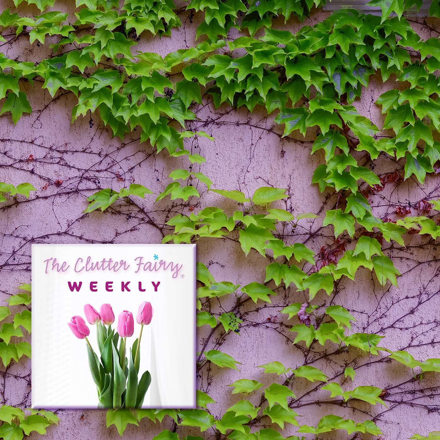 The Clutter Fairy Weekly