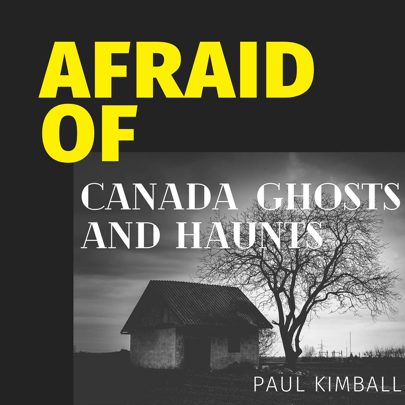Afraid of Nothing Podcast