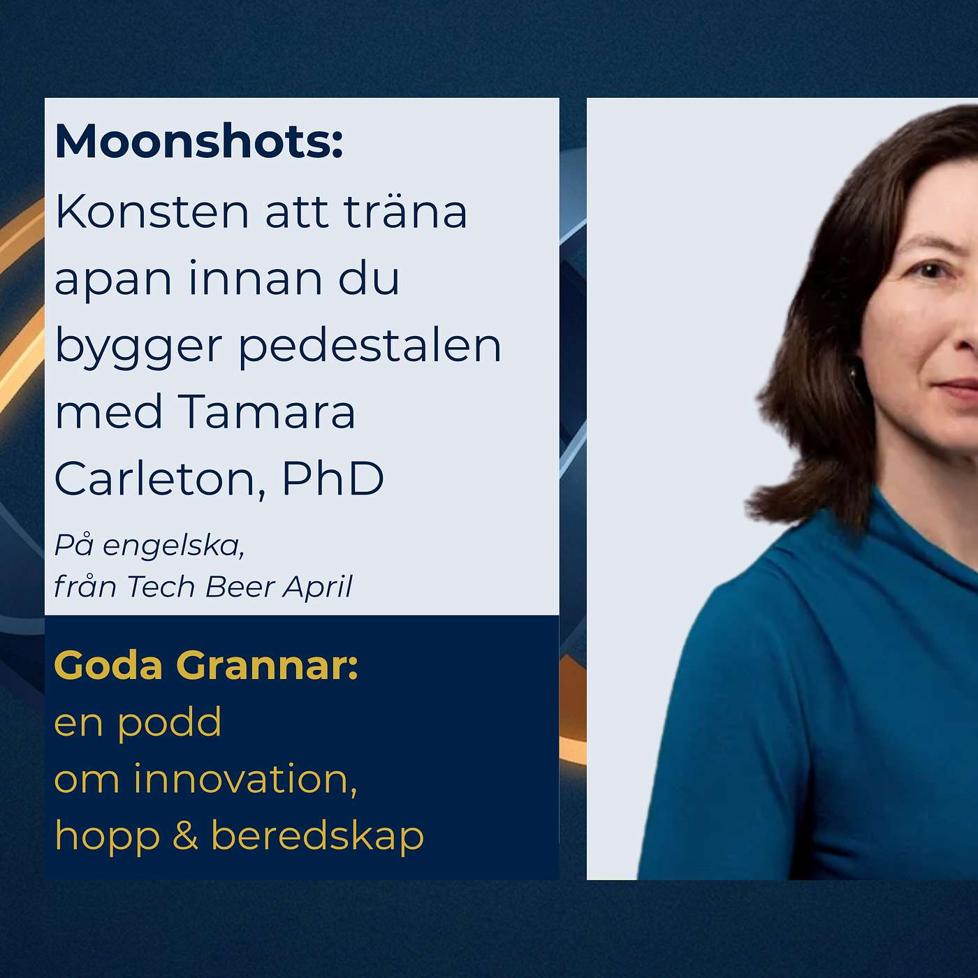 Moonshots: Att träna apan innan man bygger pedestalen [PÅ ENGELSKA] episode artwork